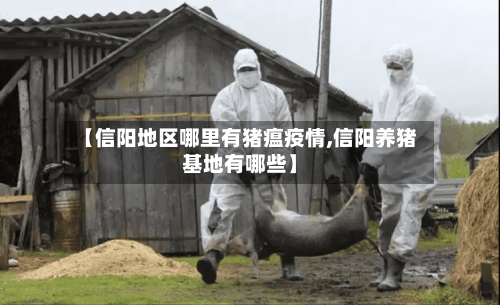 【信阳地区哪里有猪瘟疫情,信阳养猪基地有哪些】-第1张图片