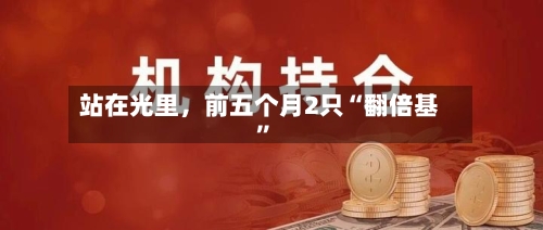 站在光里，前五个月2只“翻倍基”
