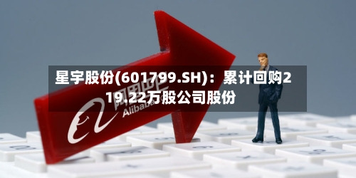 星宇股份(601799.SH)：累计回购219.22万股公司股份