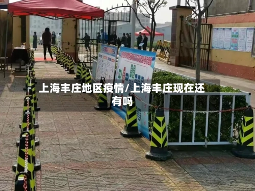上海丰庄地区疫情/上海丰庄现在还有吗