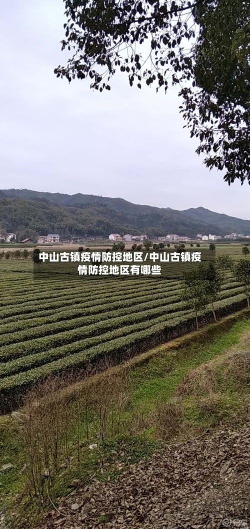 中山古镇疫情防控地区/中山古镇疫情防控地区有哪些