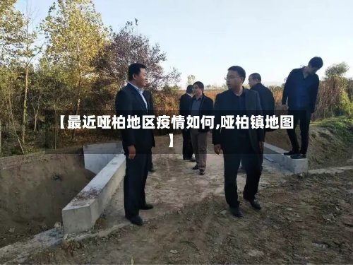 【最近哑柏地区疫情如何,哑柏镇地图】