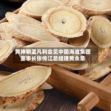 黄坤明孟凡利会见中国海油集团董事长张传江总经理黄永章