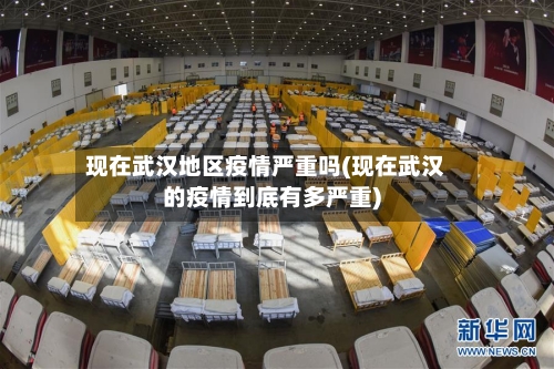 现在武汉地区疫情严重吗(现在武汉的疫情到底有多严重)