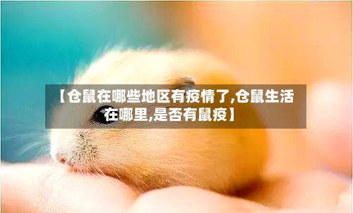 【仓鼠在哪些地区有疫情了,仓鼠生活在哪里,是否有鼠疫】