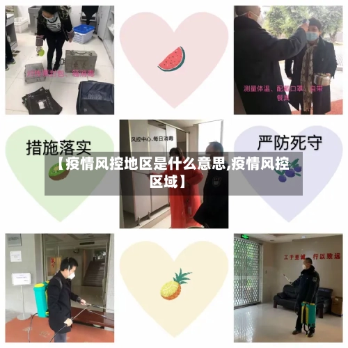 【疫情风控地区是什么意思,疫情风控区域】