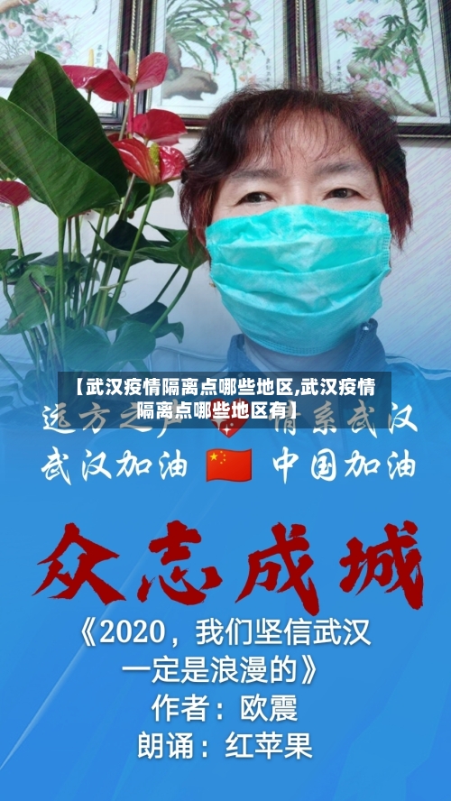 【武汉疫情隔离点哪些地区,武汉疫情隔离点哪些地区有】