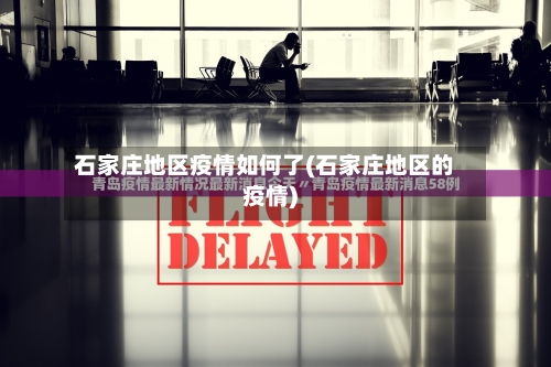 石家庄地区疫情如何了(石家庄地区的疫情)