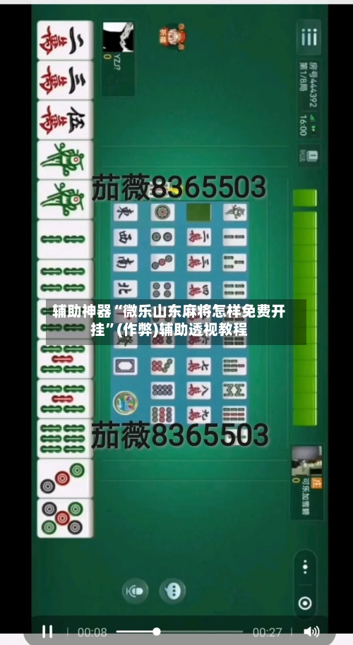 辅助神器“微乐山东麻将怎样免费开挂”(作弊)辅助透视教程