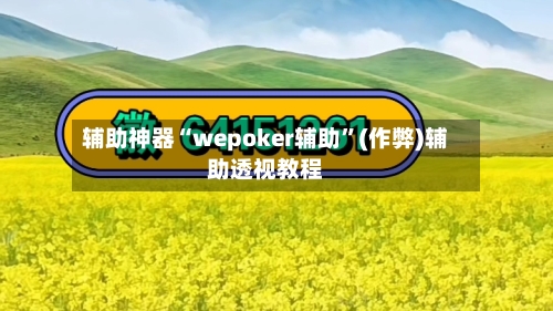 辅助神器“wepoker辅助”(作弊)辅助透视教程