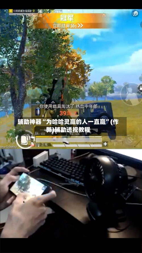 辅助神器“为哈哈灵赢的人一直赢”(作弊)辅助透视教程