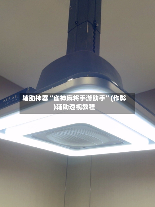 辅助神器“雀神麻将手游助手”(作弊)辅助透视教程