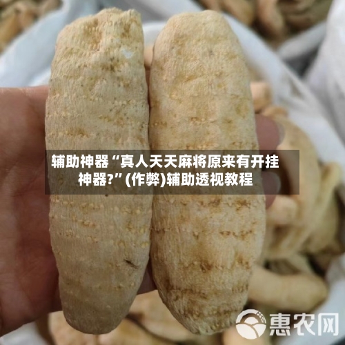 辅助神器“真人天天麻将原来有开挂神器?”(作弊)辅助透视教程