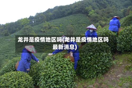 龙井是疫情地区吗(龙井是疫情地区吗最新消息)