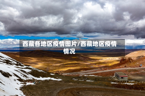西藏各地区疫情图片/西藏地区疫情情况