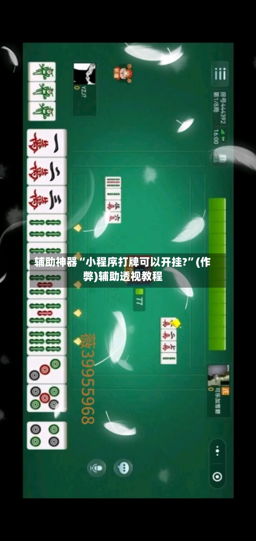 辅助神器“小程序打牌可以开挂?”(作弊)辅助透视教程