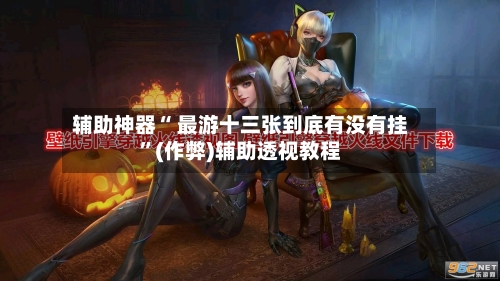 辅助神器“ 最游十三张到底有没有挂”(作弊)辅助透视教程