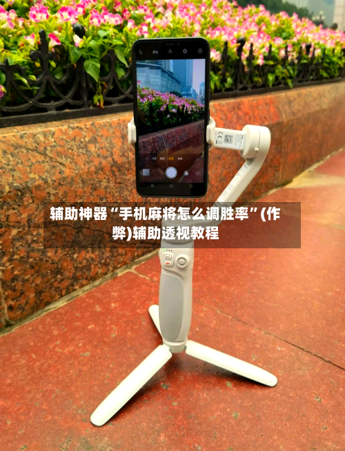 辅助神器“手机麻将怎么调胜率”(作弊)辅助透视教程