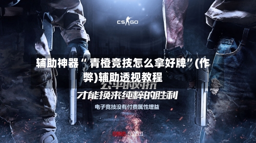 辅助神器“ 青橙竞技怎么拿好牌”(作弊)辅助透视教程