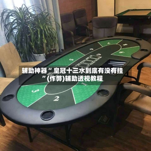辅助神器“ 皇冠十三水到底有没有挂”(作弊)辅助透视教程
