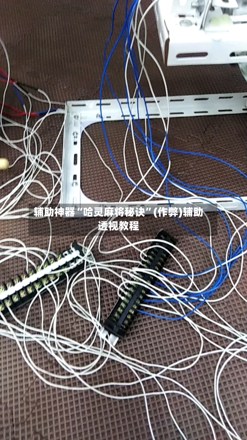 辅助神器“哈灵麻将秘诀”(作弊)辅助透视教程