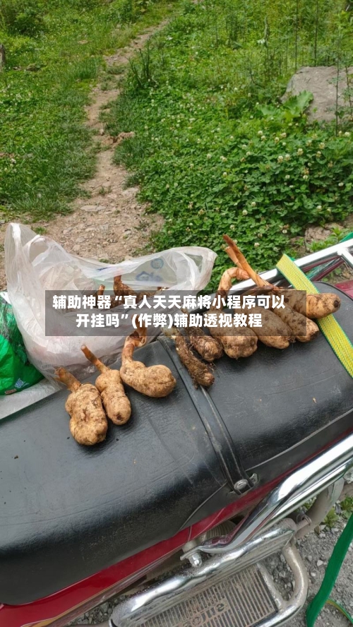 辅助神器“真人天天麻将小程序可以开挂吗”(作弊)辅助透视教程