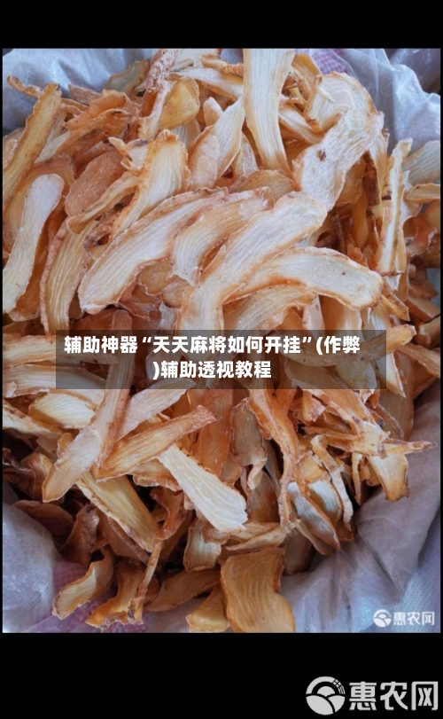 辅助神器“天天麻将如何开挂”(作弊)辅助透视教程