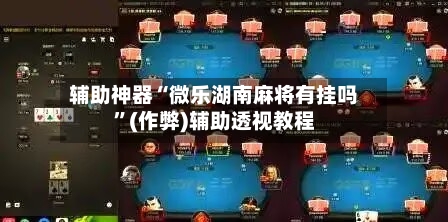 辅助神器“微乐湖南麻将有挂吗”(作弊)辅助透视教程