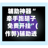 辅助神器“牵手跑胡子免费开挂”(作弊)辅助透视教程