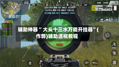 辅助神器“ 大头十三水万能开挂器”(作弊)辅助透视教程