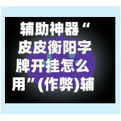 辅助神器“ 皮皮衡阳字牌开挂怎么用”(作弊)辅助透视教程