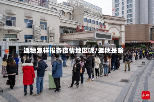 返穗怎样报备疫情地区呢/返穗是啥