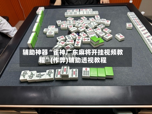 辅助神器“雀神广东麻将开挂视频教程”(作弊)辅助透视教程
