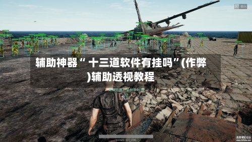 辅助神器“ 十三道软件有挂吗”(作弊)辅助透视教程