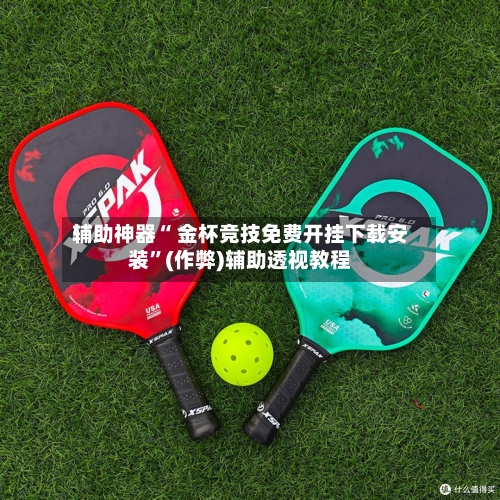 辅助神器“ 金杯竞技免费开挂下载安装”(作弊)辅助透视教程