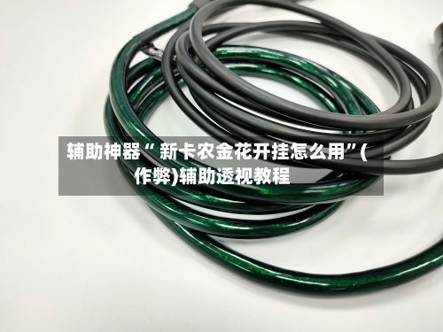 辅助神器“ 新卡农金花开挂怎么用”(作弊)辅助透视教程