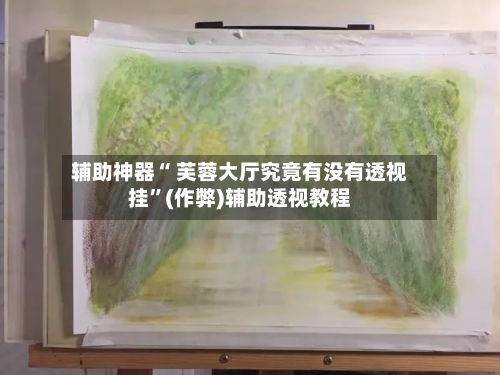 辅助神器“ 芙蓉大厅究竟有没有透视挂”(作弊)辅助透视教程