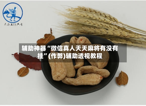 辅助神器“微信真人天天麻将有没有挂”(作弊)辅助透视教程