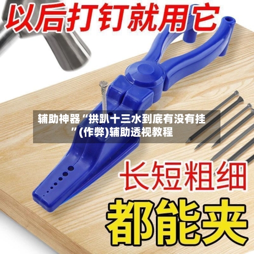 辅助神器“拱趴十三水到底有没有挂”(作弊)辅助透视教程