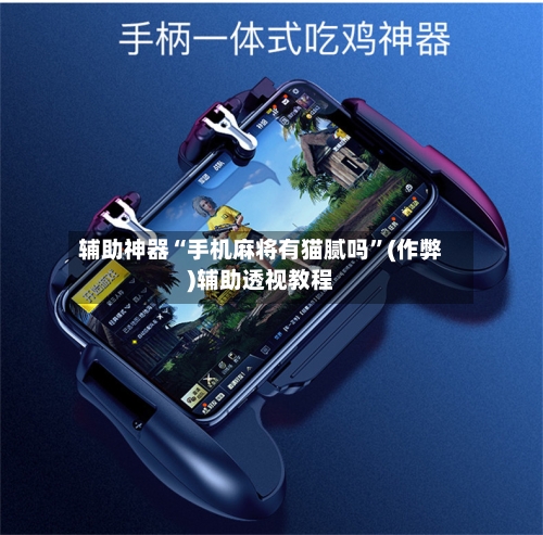 辅助神器“手机麻将有猫腻吗”(作弊)辅助透视教程