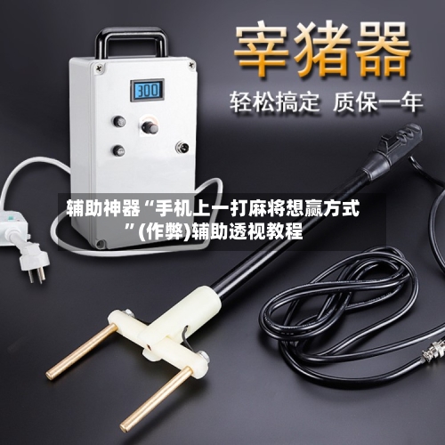 辅助神器“手机上一打麻将想赢方式”(作弊)辅助透视教程