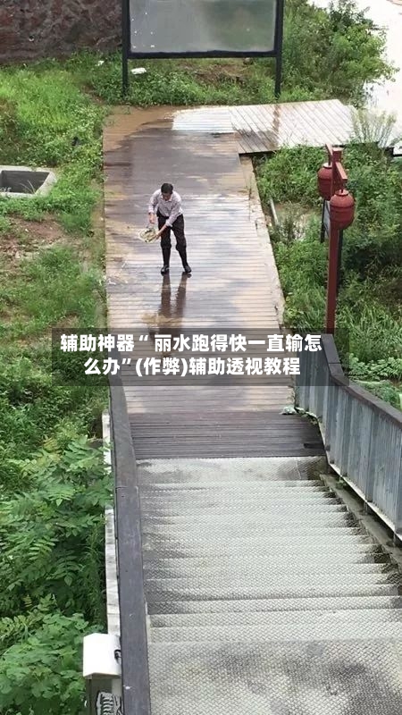 辅助神器“ 丽水跑得快一直输怎么办”(作弊)辅助透视教程-第1张图片