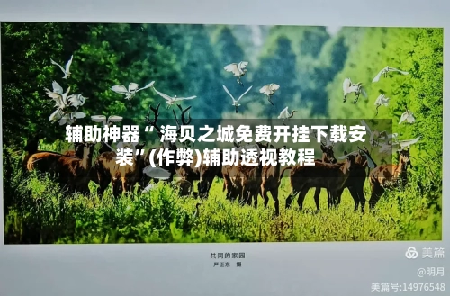 辅助神器“ 海贝之城免费开挂下载安装”(作弊)辅助透视教程