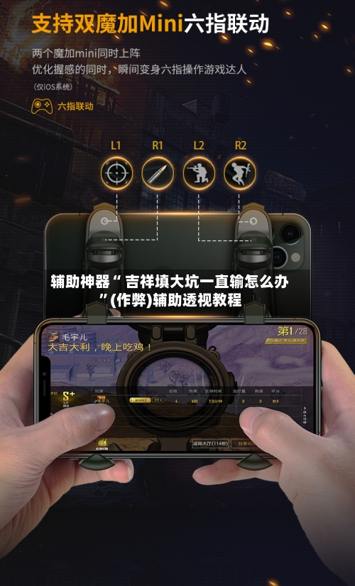 辅助神器“ 吉祥填大坑一直输怎么办”(作弊)辅助透视教程