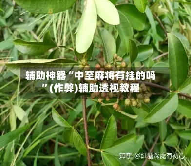 辅助神器“中至麻将有挂的吗”(作弊)辅助透视教程