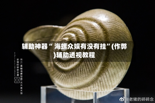 辅助神器“ 海螺众娱有没有挂”(作弊)辅助透视教程