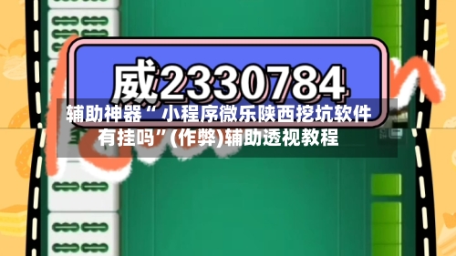 辅助神器“ 小程序微乐陕西挖坑软件有挂吗”(作弊)辅助透视教程