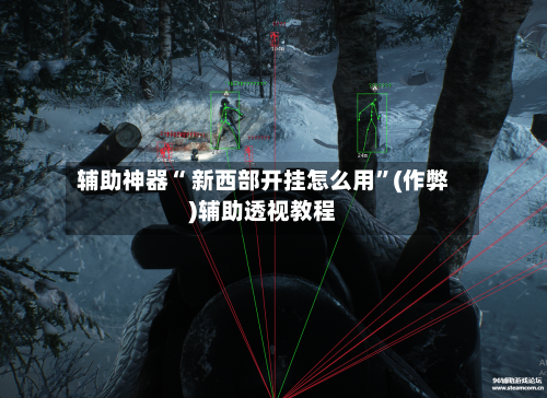 辅助神器“ 新西部开挂怎么用”(作弊)辅助透视教程