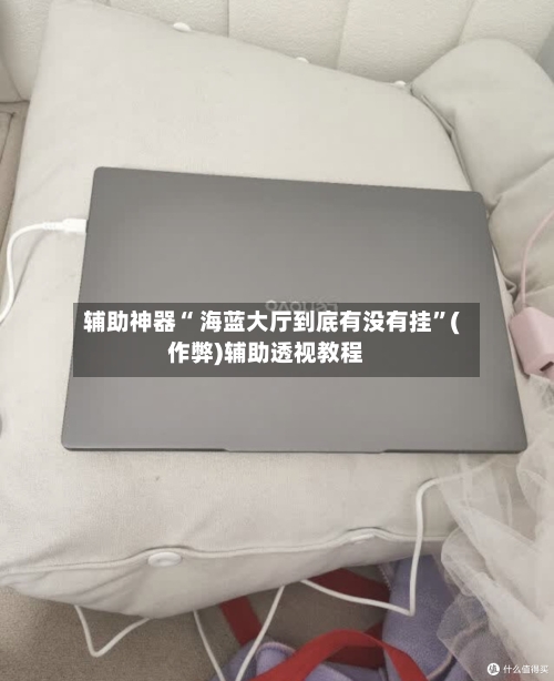 辅助神器“ 海蓝大厅到底有没有挂”(作弊)辅助透视教程