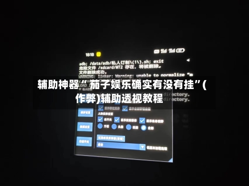 辅助神器“ 茄子娱乐确实有没有挂”(作弊)辅助透视教程